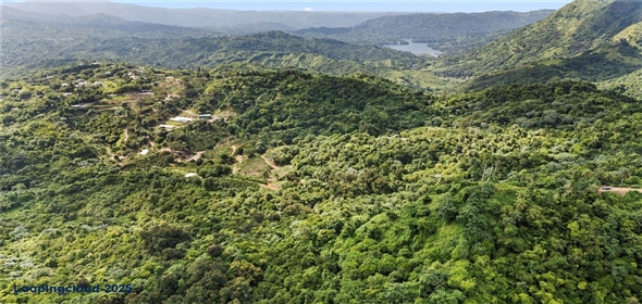 Bo. Hoyos Planes CARR. 531 KM 1 HM 7 Adjuntas Puerto Rico, 00664 | Finca Hoyos Planes: Fully Operational Coffee Estate in Puerto Rico's Heartland