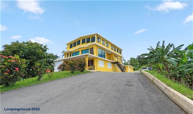 Bo. Hoyos Planes CARR. 531 KM 1 HM 7 Adjuntas Puerto Rico, 00664 | Finca Hoyos Planes: Fully Operational Coffee Estate in Puerto Rico's Heartland