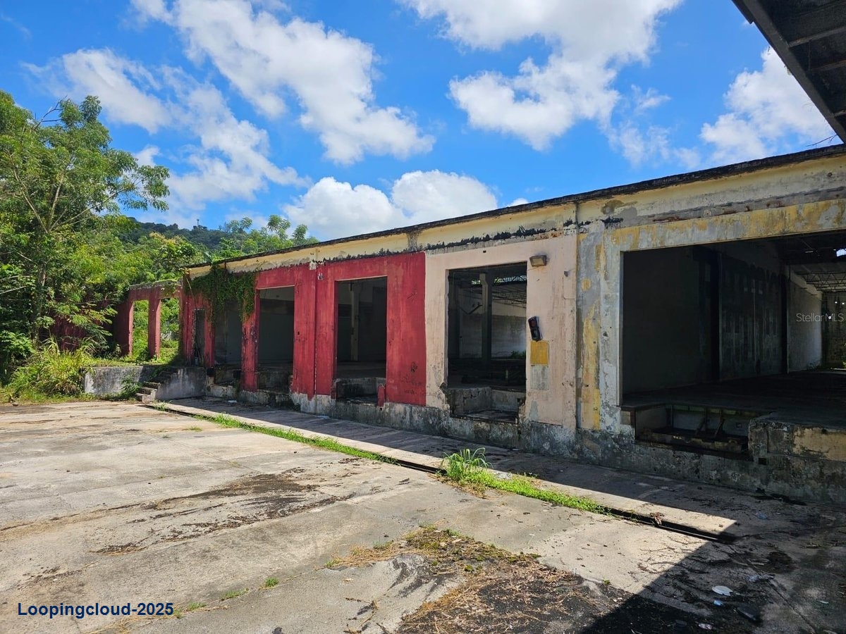 Commercial Property for Sale in Adjuntas Puerto Rico 00703