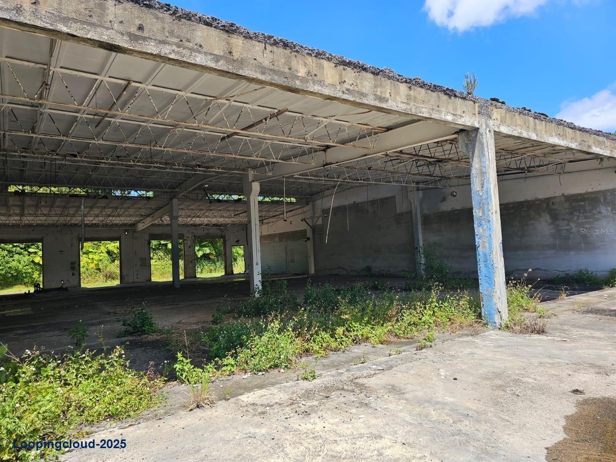 Commercial Property for Sale in Adjuntas Puerto Rico 00703