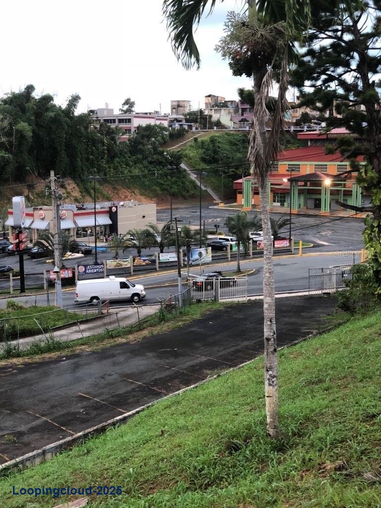 Commercial Property for Sale in Adjuntas Puerto Rico 00703
