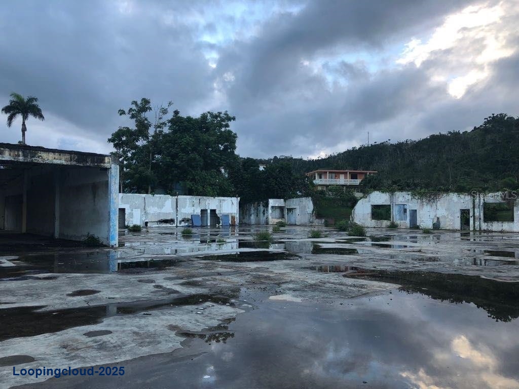 Commercial Property for Sale in Adjuntas Puerto Rico 00703