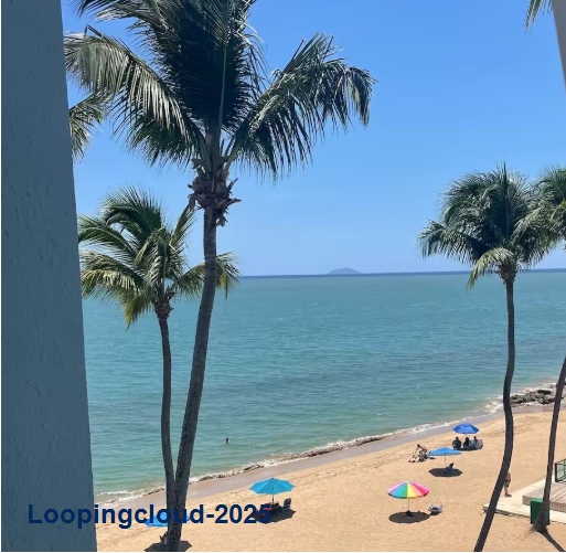 58835, Beachfront Condo!