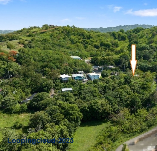 Commercial Property for Sale in Rincon Puerto Rico 00677