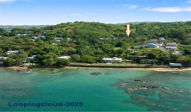 Bo Barrero- Carr 429 , Rincon Puerto Rico                                                                                          00677
