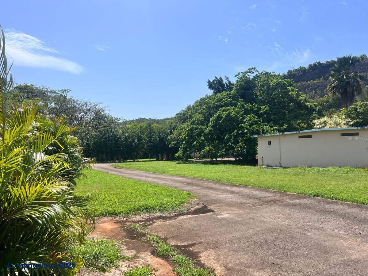 Commercial Property for Sale in Arecibo Puerto Rico 00612