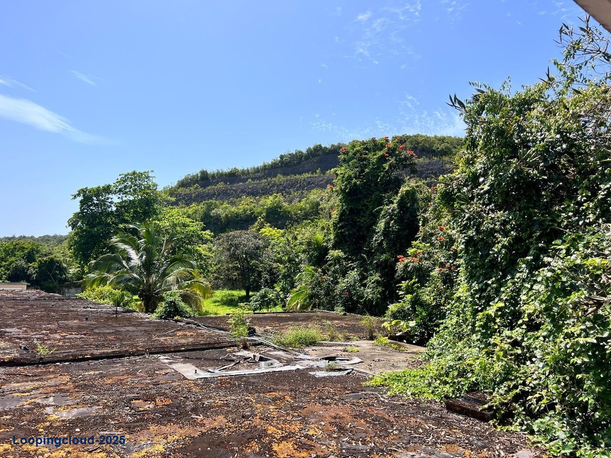 Exclusive Property for Sale