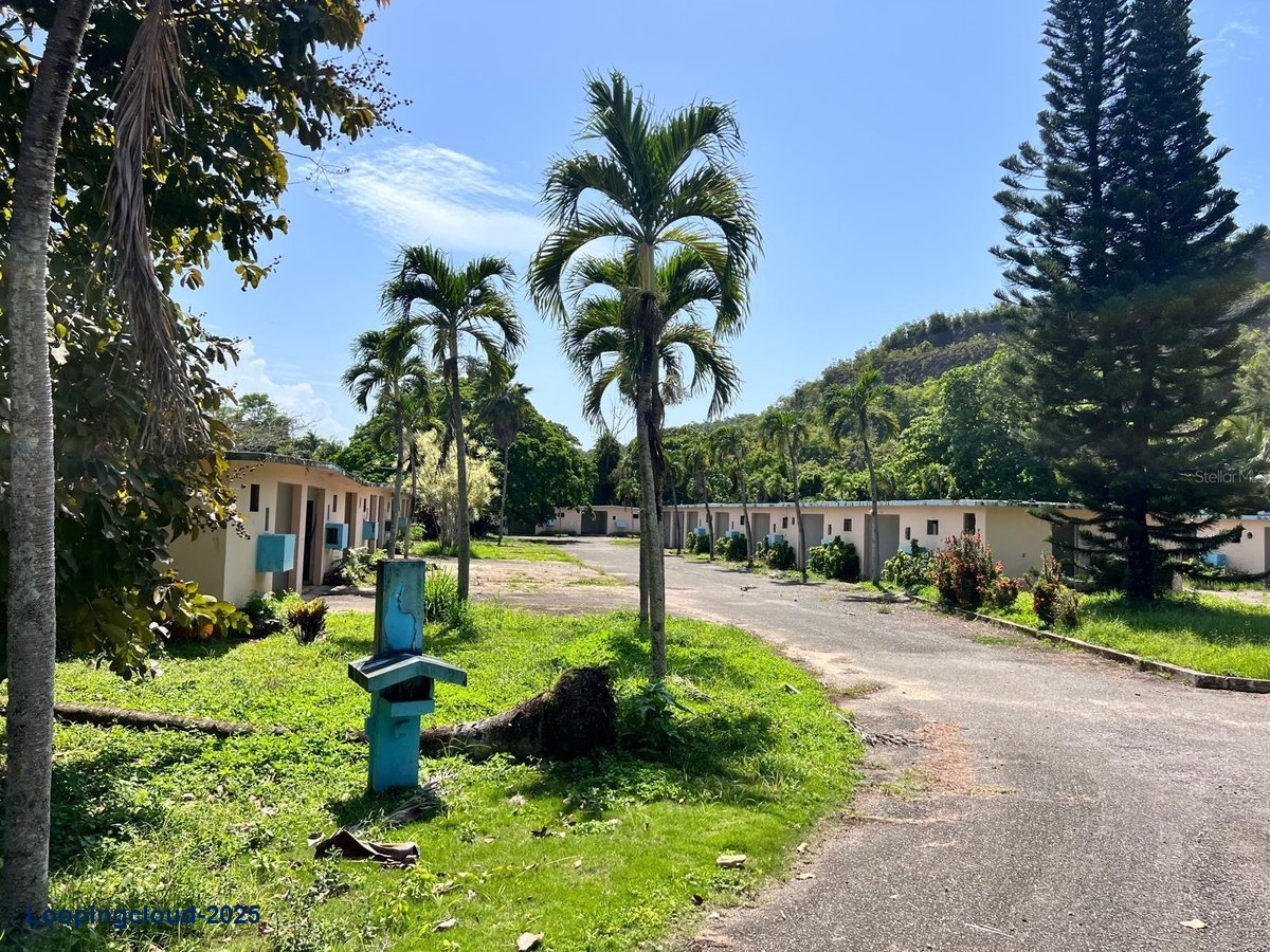 Commercial Property for Sale in Arecibo Puerto Rico 00612