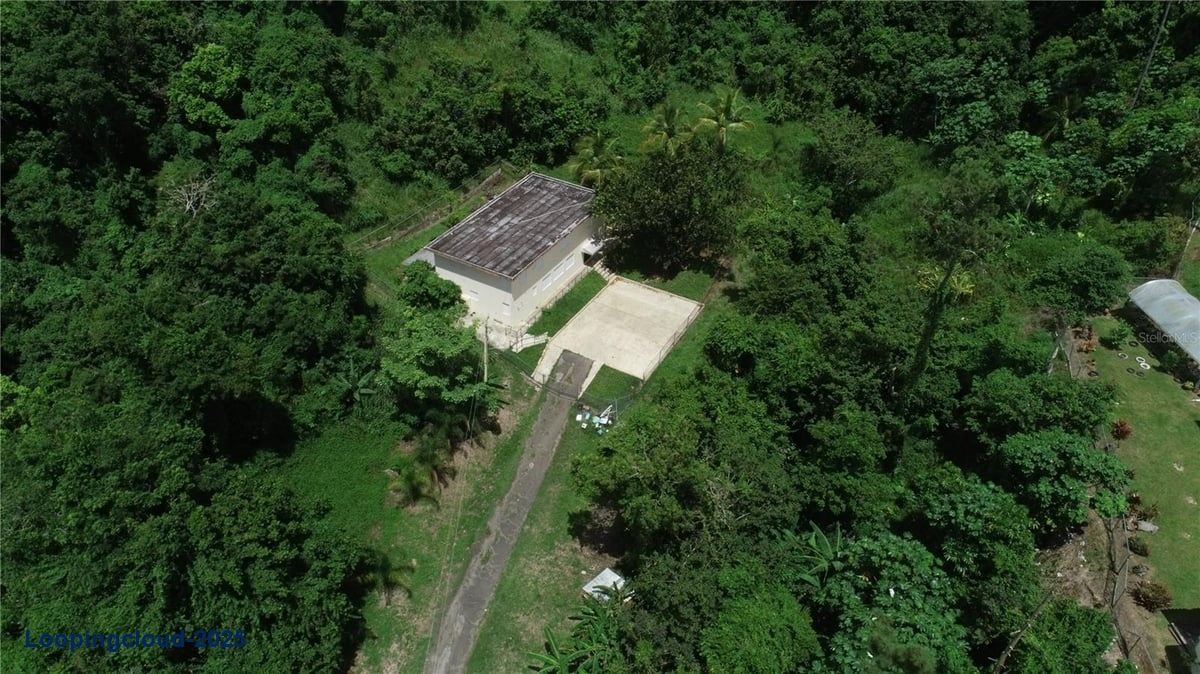 Commercial Property for Sale in Aibonito Puerto Rico 00705