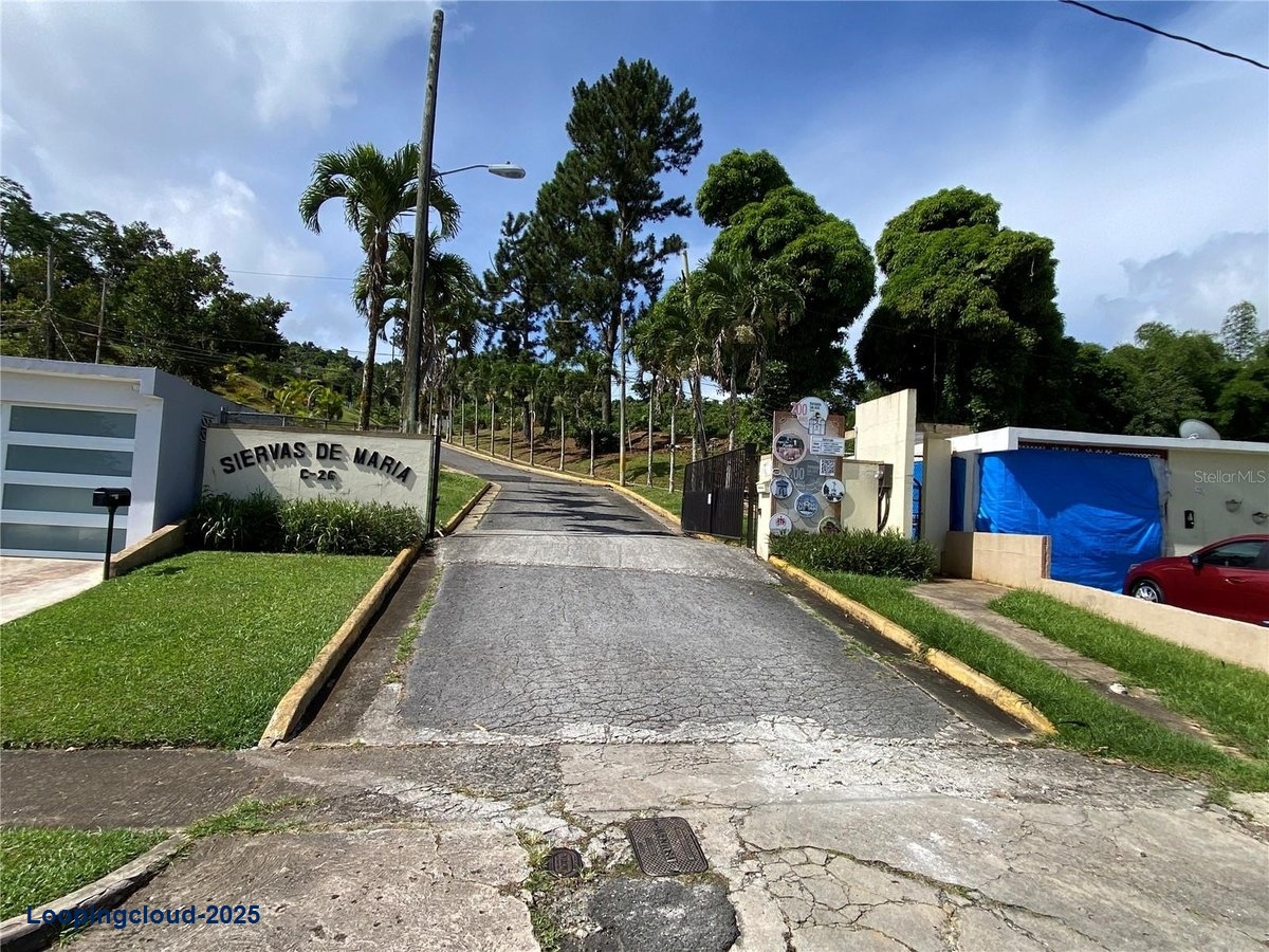Commercial Property for Sale in Aibonito Puerto Rico 00705