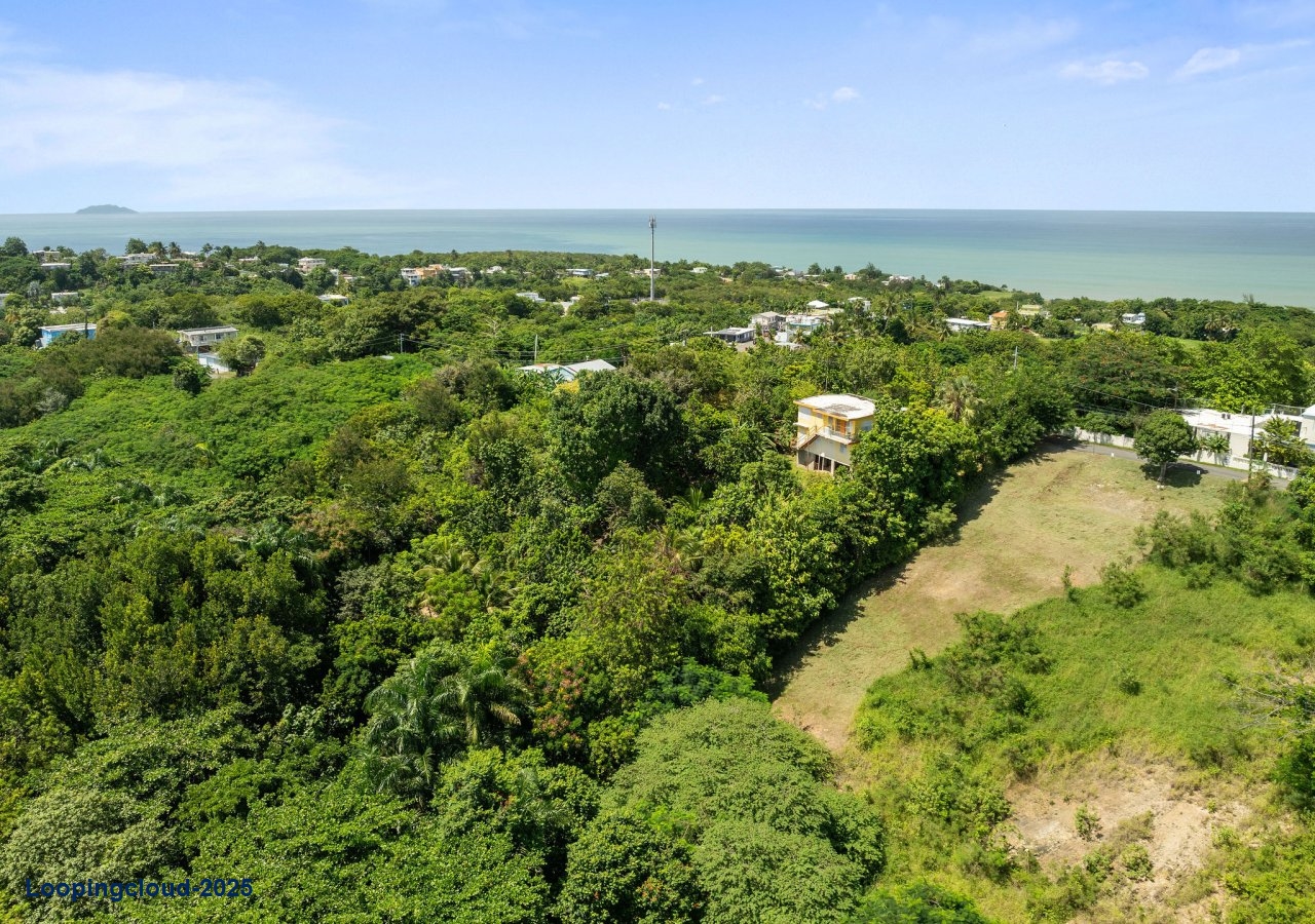 62024, Build your dream home in paradise