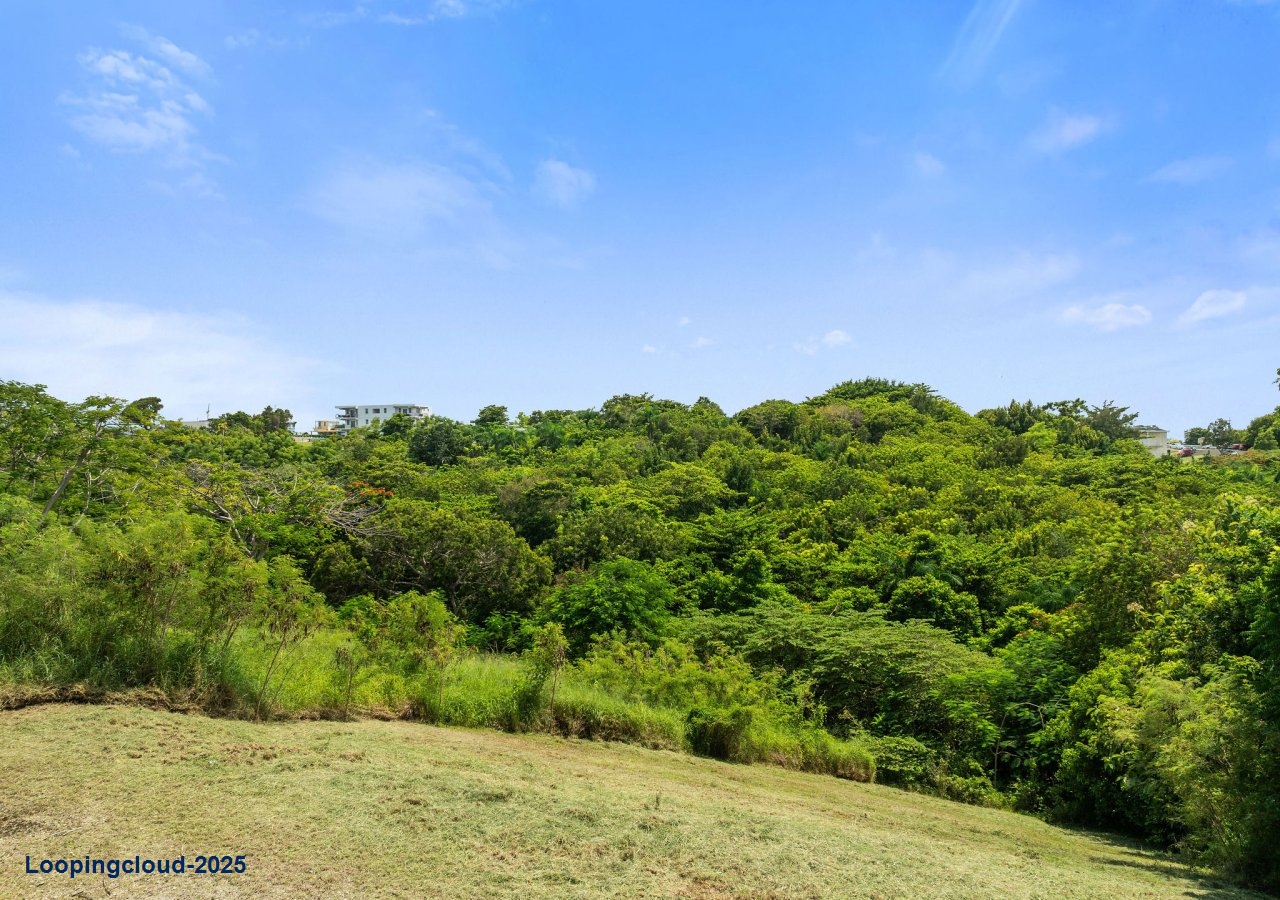 62024, Build your dream home in paradise