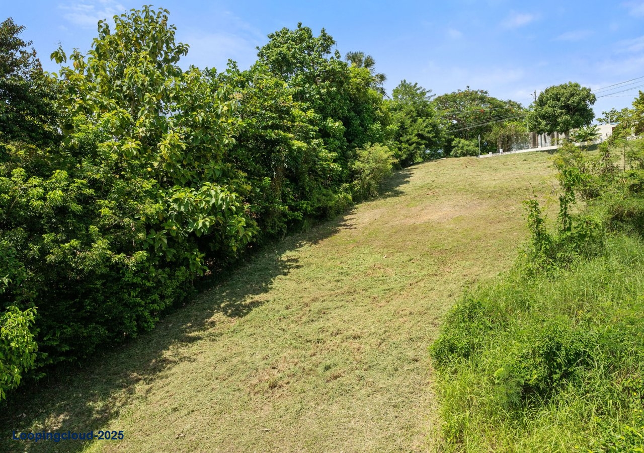 62024, Build your dream home in paradise