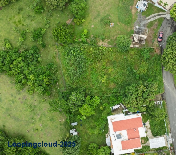 55918, CALVACHE LOT WITH BEAUTIFUL OCEAN VIEW