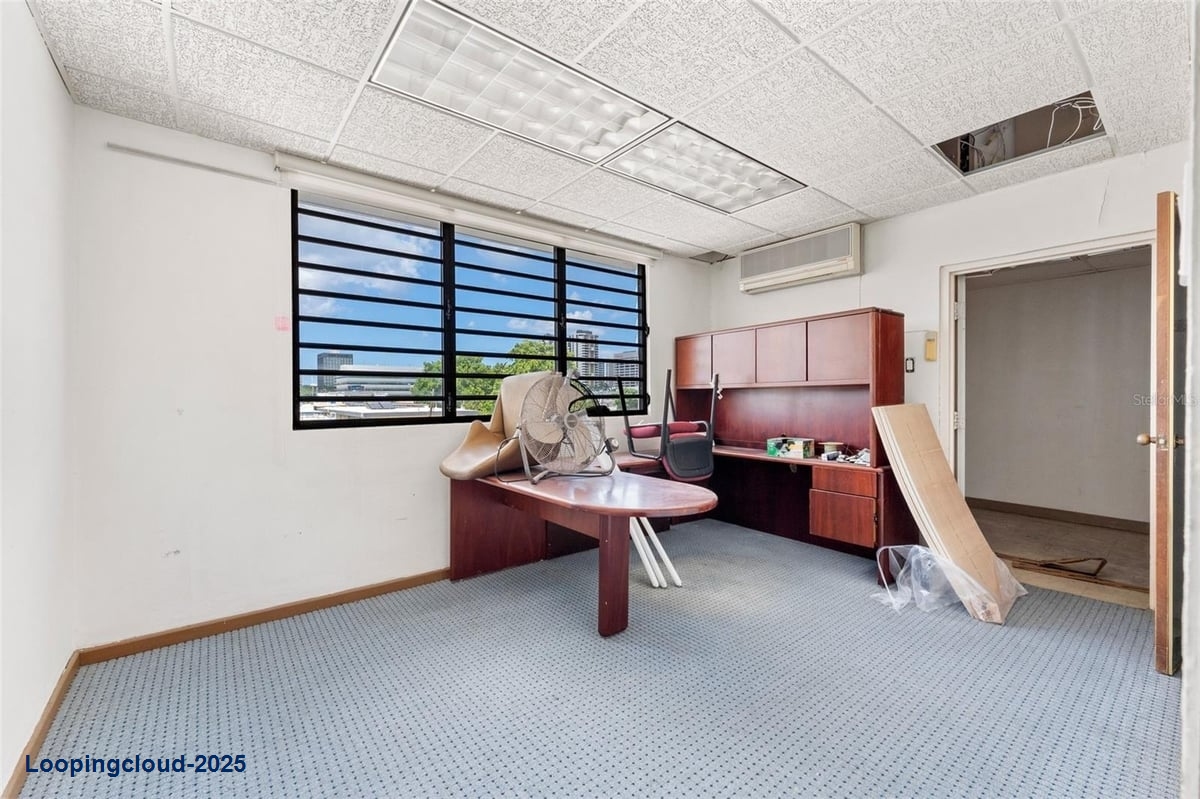 Commercial Property for Sale in SAN JUAN Puerto Rico 00919