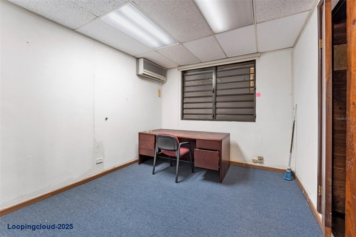 Commercial Property for Sale in SAN JUAN Puerto Rico 00919