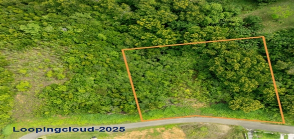 Bo Guaniquilla- Solar 12 Adjuntas Puerto Rico, 00602 | 60373, Build Your Dream with a View