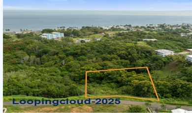 Bo Guaniquilla- Solar 12 Adjuntas Puerto Rico, 00602 | 60373, Build Your Dream with a View
