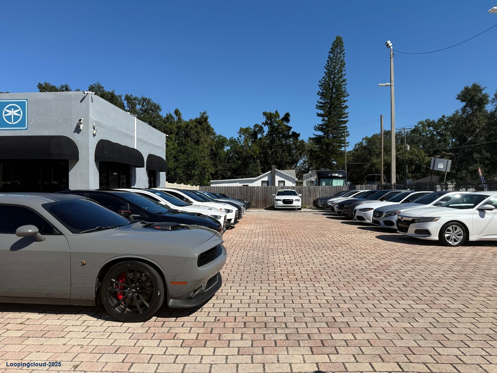 High Visibility Turn-key Auto Dealership on N Florida Ave.