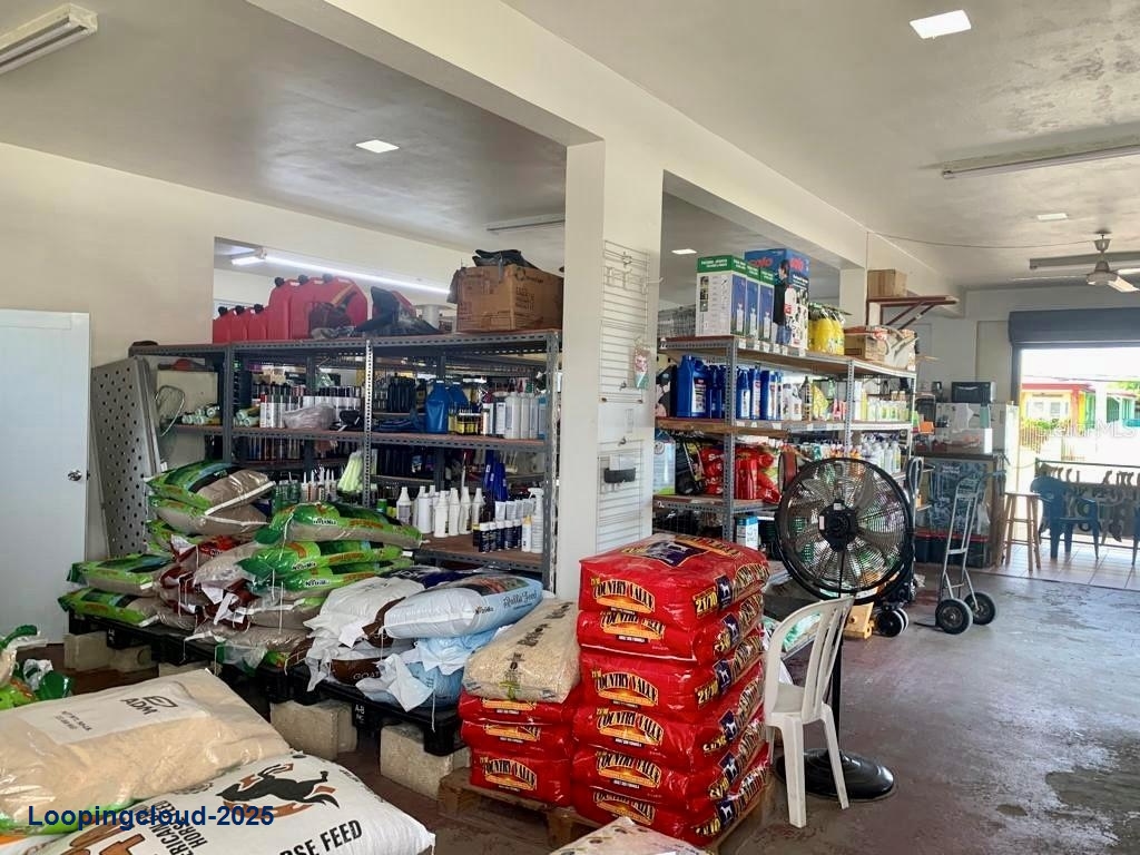 Commercial Property for Sale in Isabela Puerto Rico 00662