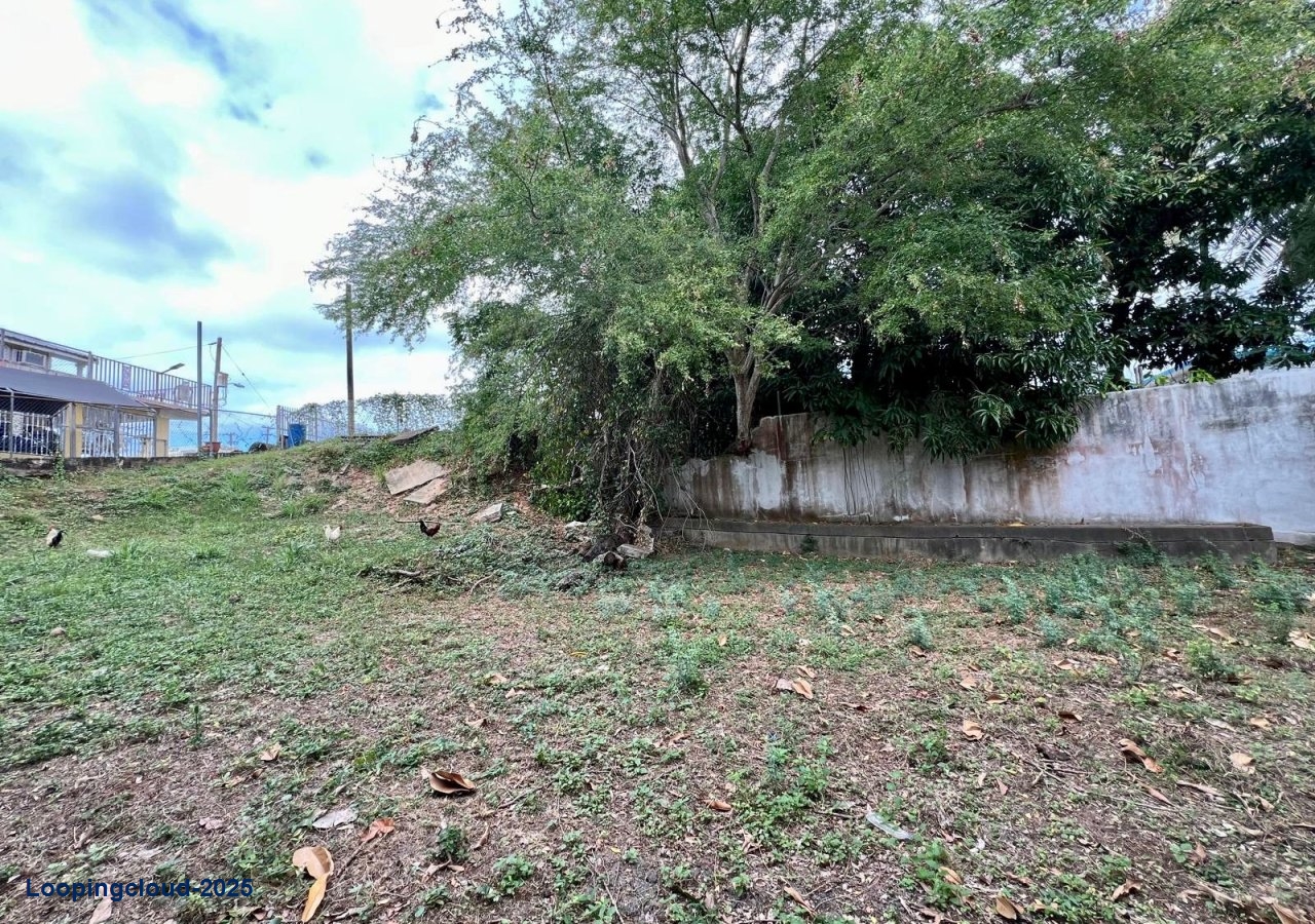 Commercial Property for Sale in Aguada Puerto Rico 00602