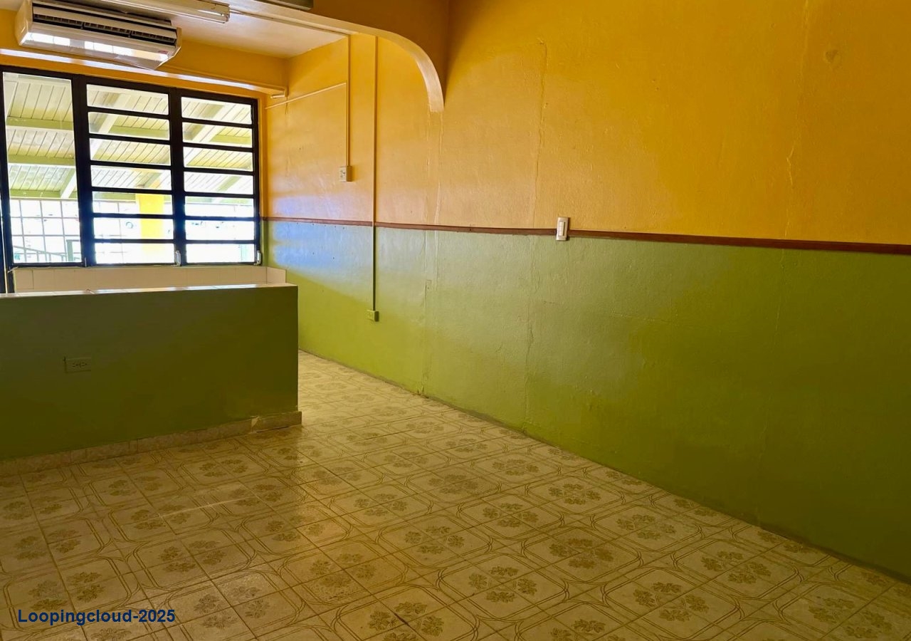 Commercial Property for Sale in Aguada Puerto Rico 00602