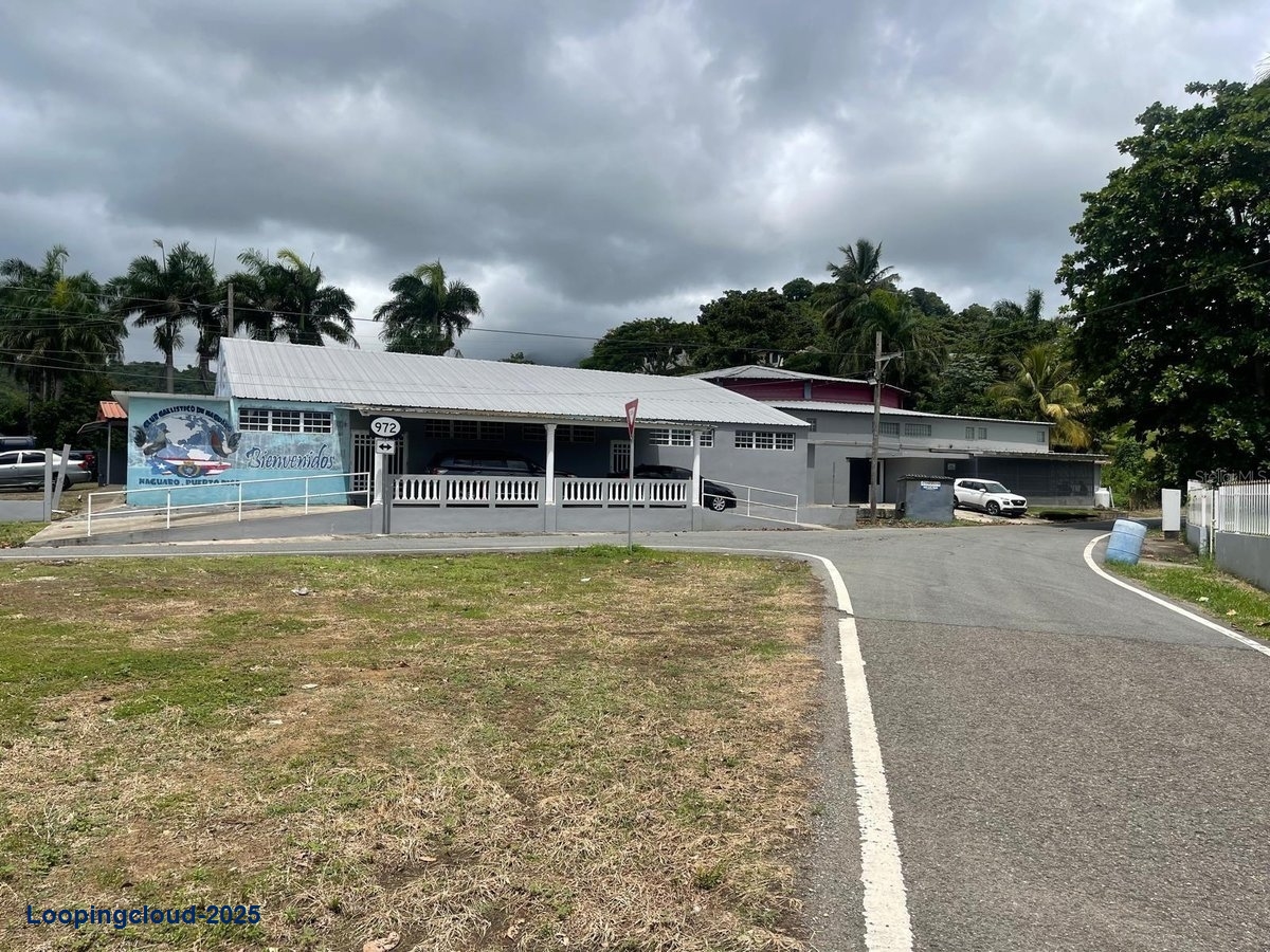 Commercial Property for Sale in Naguabo Puerto Rico 00718