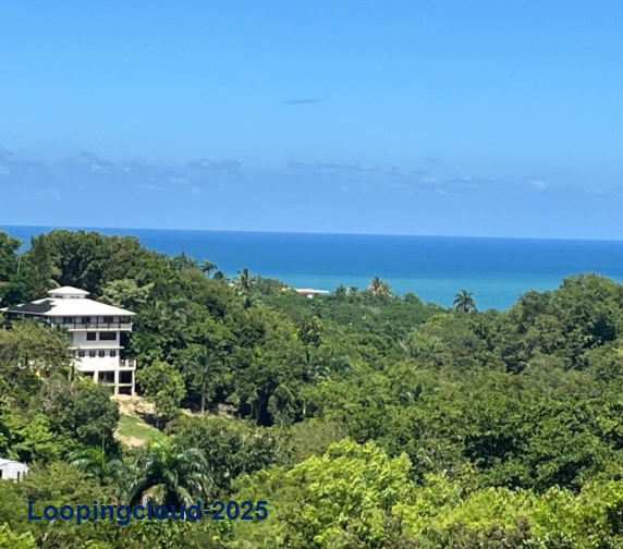 61972, Exclusive lot, ocean views, prime location