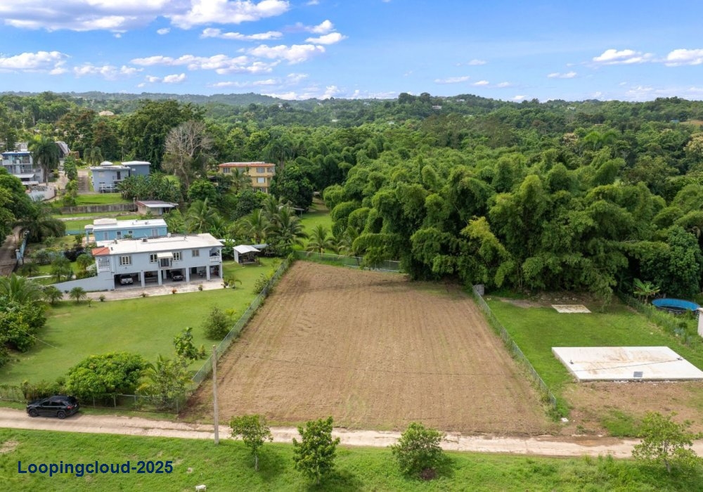 61413, Flat lot in Guayabo, Aguada