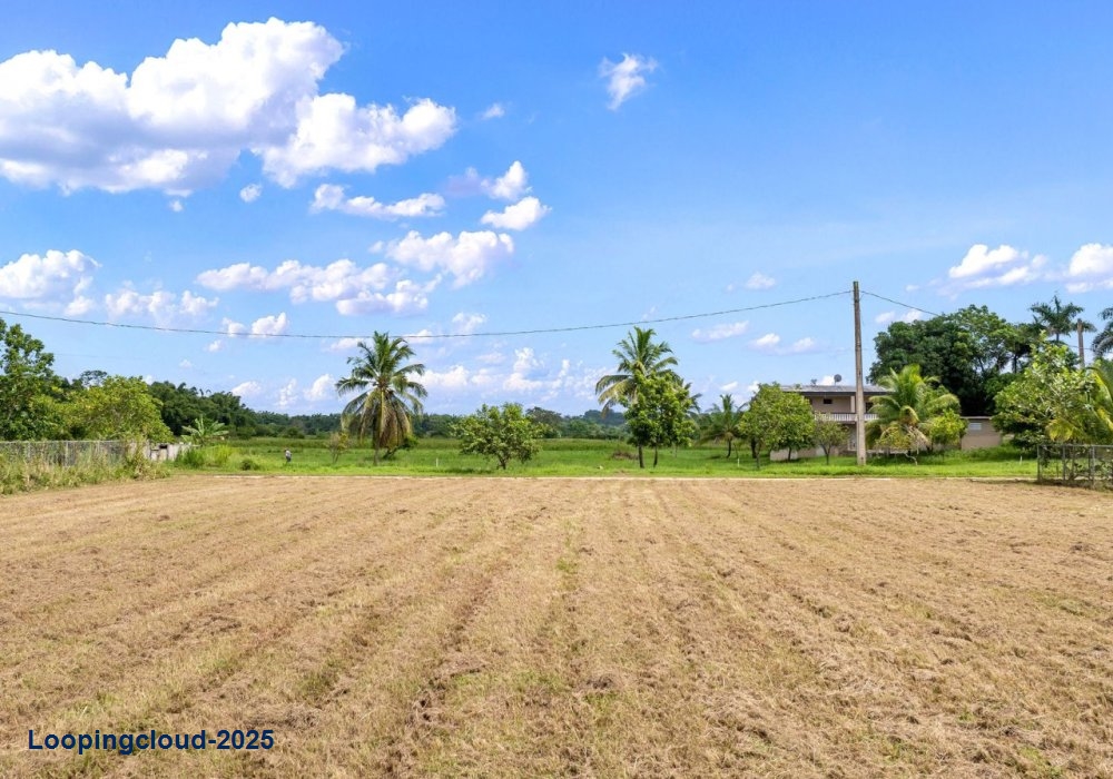61413, Flat lot in Guayabo, Aguada