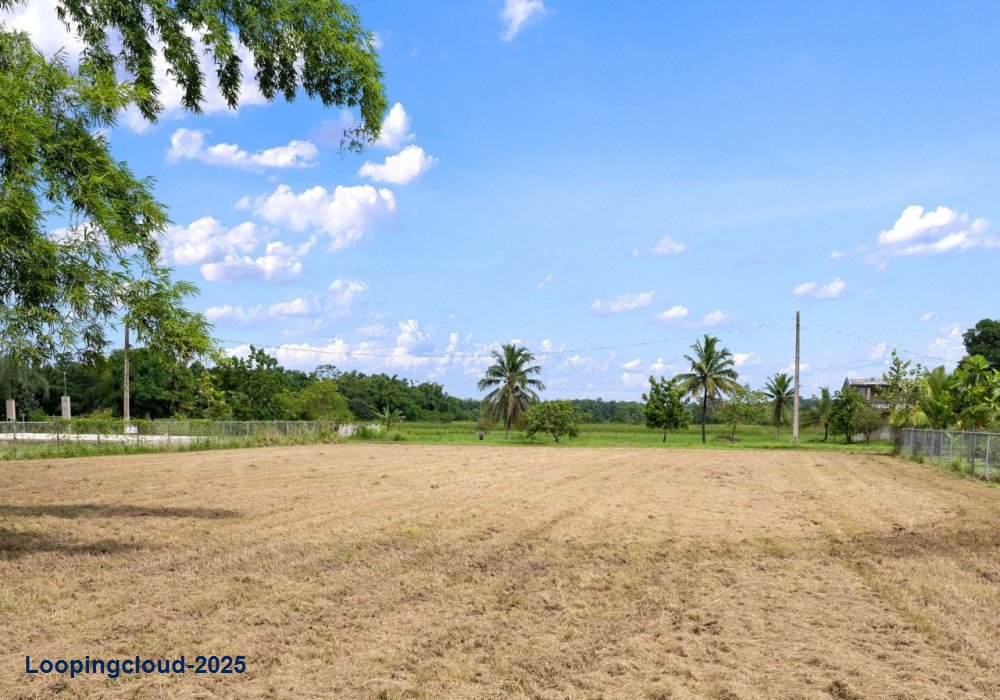 61413, Flat lot in Guayabo, Aguada