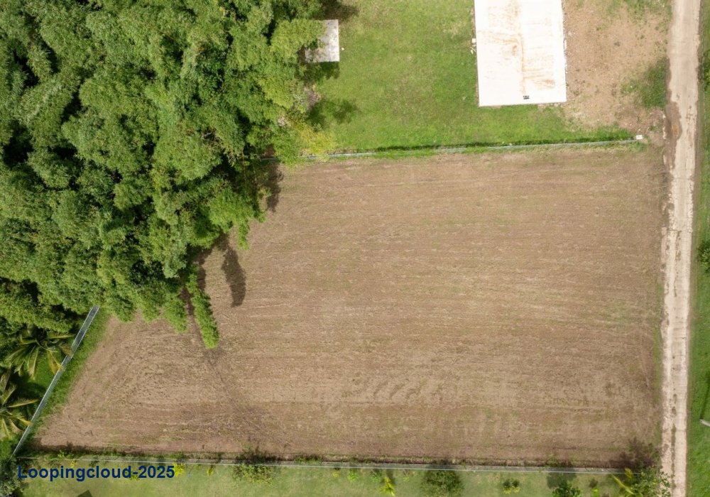 61413, Flat lot in Guayabo, Aguada