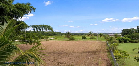 Bo Guayabo- Carr 411 KM HM 2.0- Sector Miguel Correa, Aguada, Puerto Rico, 00602 Adjuntas Puerto Rico, 00602 | 61413, Flat lot in Guayabo, Aguada