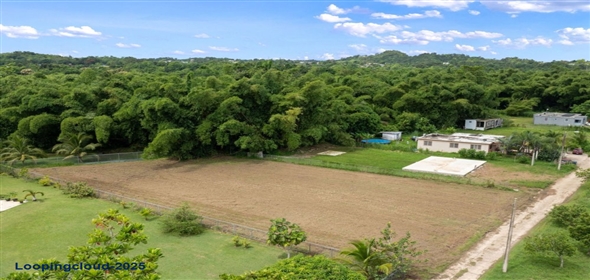 Bo Guayabo- Carr 411 KM HM 2.0- Sector Miguel Correa, Aguada, Puerto Rico, 00602 Adjuntas Puerto Rico, 00602 | 61413, Flat lot in Guayabo, Aguada