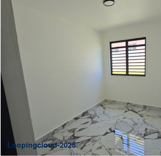 61777, Fully Remodeled Two-Story Home