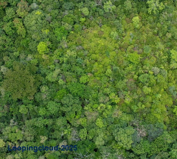 60369, Where Privacy Meets Paradise