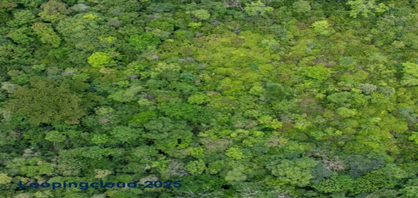 Bo Miradero- Carr 102 Solar 1 & 2, Cabo Rojo, Puerto Rico, 00623 Cabo Rojo Puerto Rico, 00623 | 60369, Where Privacy Meets Paradise