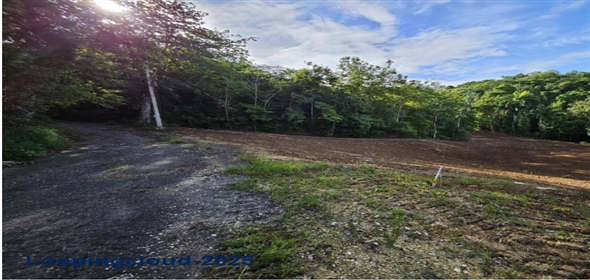 Bo. Victoria, Aguadilla, Puerto Rico Aguadilla Puerto Rico, 00605 | 53208, Land ready to be built!