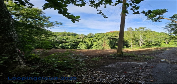 Bo. Victoria, Aguadilla, Puerto Rico Aguadilla Puerto Rico, 00605 | 53208, Land ready to be built!