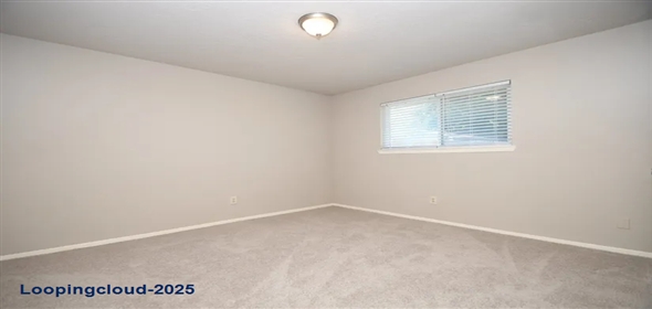 10102 Barmont Drive La Porte Texas, 77571 | Charming Home in La Porte