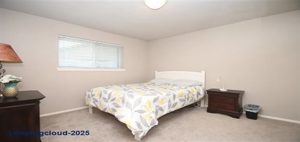 10102 Barmont Drive La Porte Texas, 77571 | Charming Home in La Porte