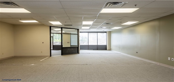 1111 Park Ave Baltimore Maryland, 21201 | ReNew Mt. Vernon Apartments