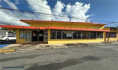 Commercial Property for Sale in  Puerto Rico