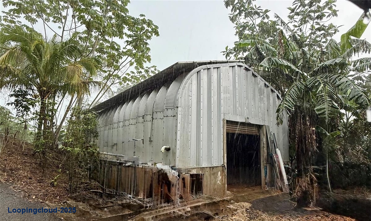 Prime Agricultural Opportunity -- Bo. Rosario, San Germán, Puerto Rico