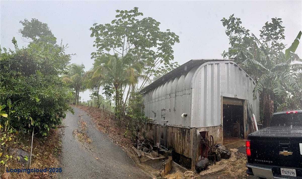 Prime Agricultural Opportunity -- Bo. Rosario, San Germán, Puerto Rico