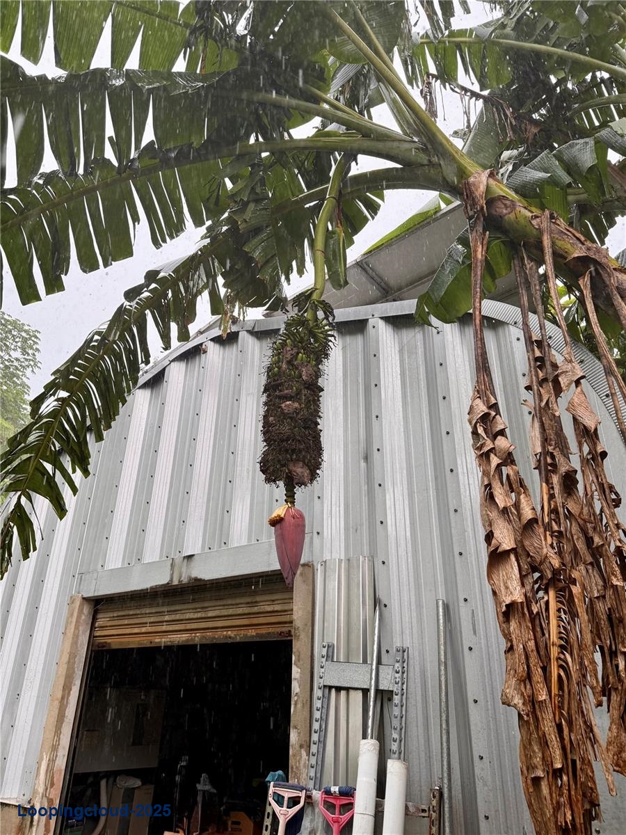 Commercial Property for Sale in San Germán Puerto Rico 00683