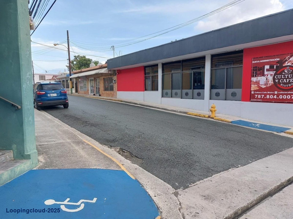 Commercial Property for Sale in Sabana Grande Puerto Rico 00637