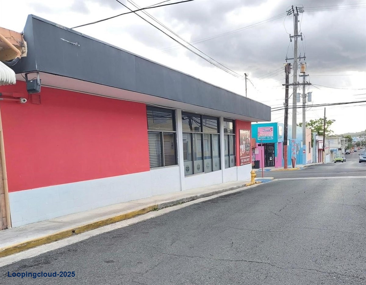 Commercial Property for Sale in Sabana Grande Puerto Rico 00637