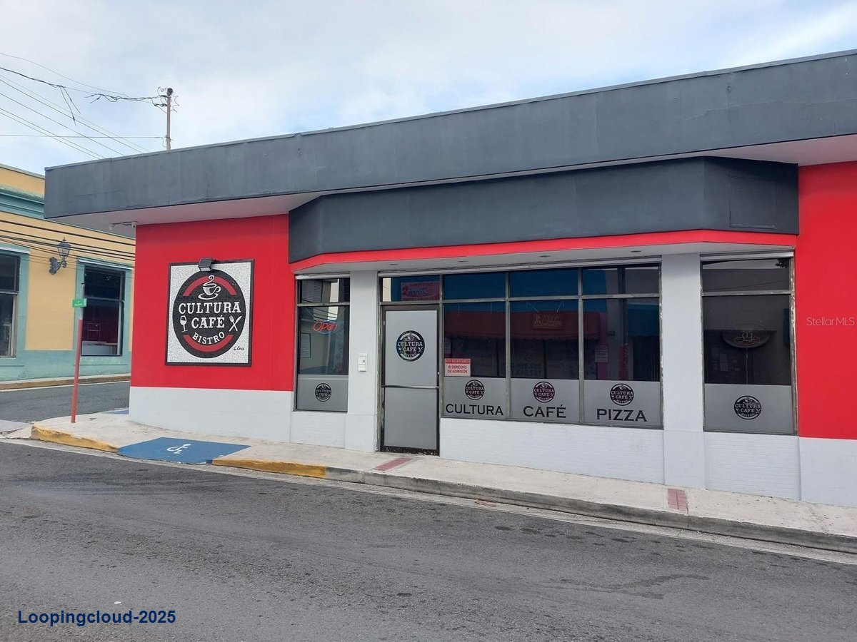 Commercial Property for Sale in Sabana Grande Puerto Rico 00637