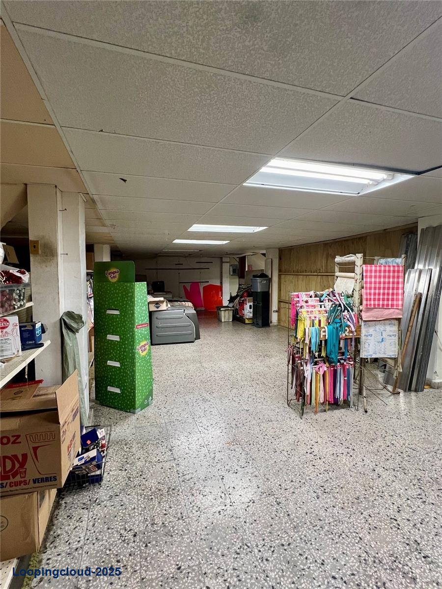 Commercial Property for Sale in San Lorenzo Puerto Rico 00754